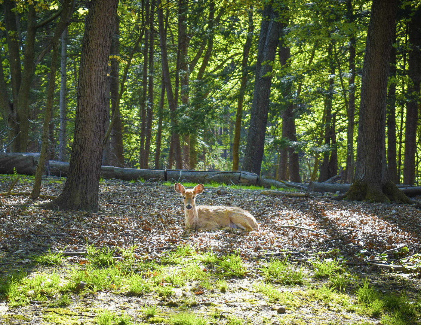 5 Night Individually Directed Retreat