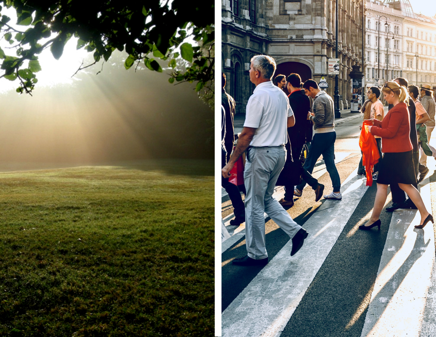 4-Week Ignatian Retreat: Weeks #1-2