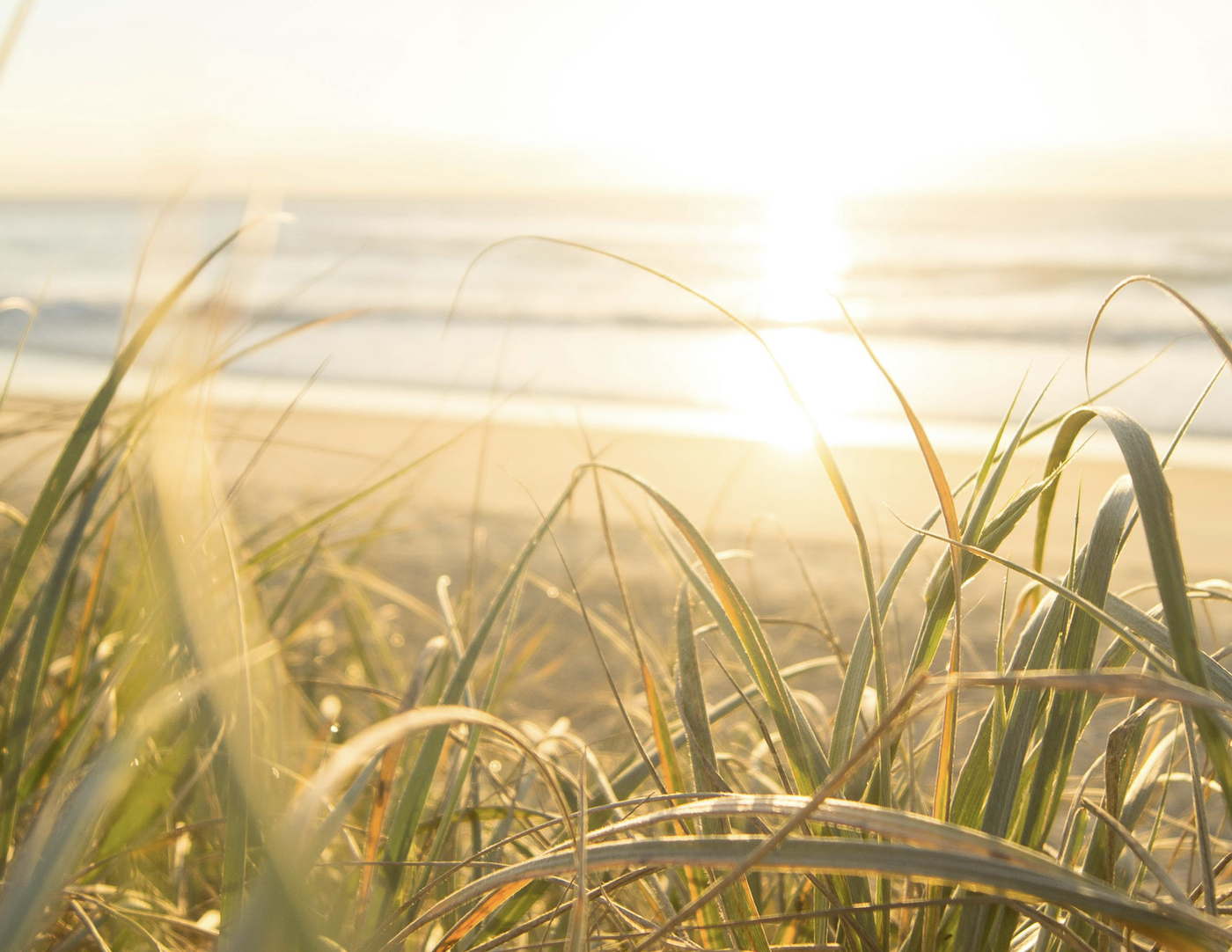 PS for Women in Renewal (Peace and Serenity)