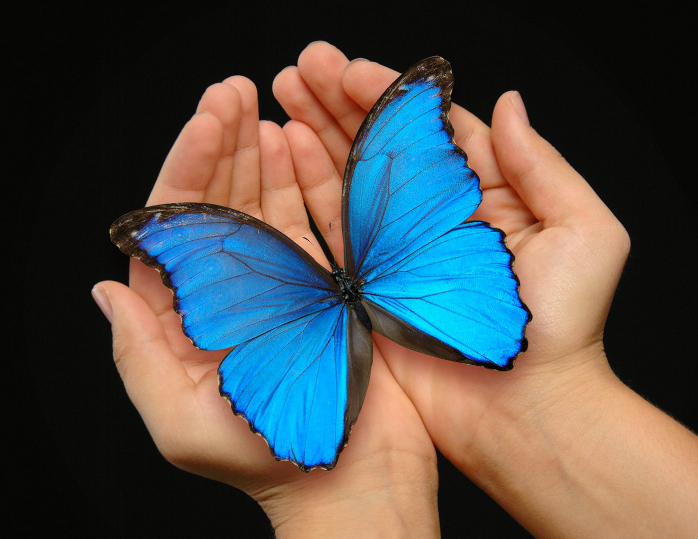 Silent, Lenten Retreat: Being Transformed in Christ Jesus