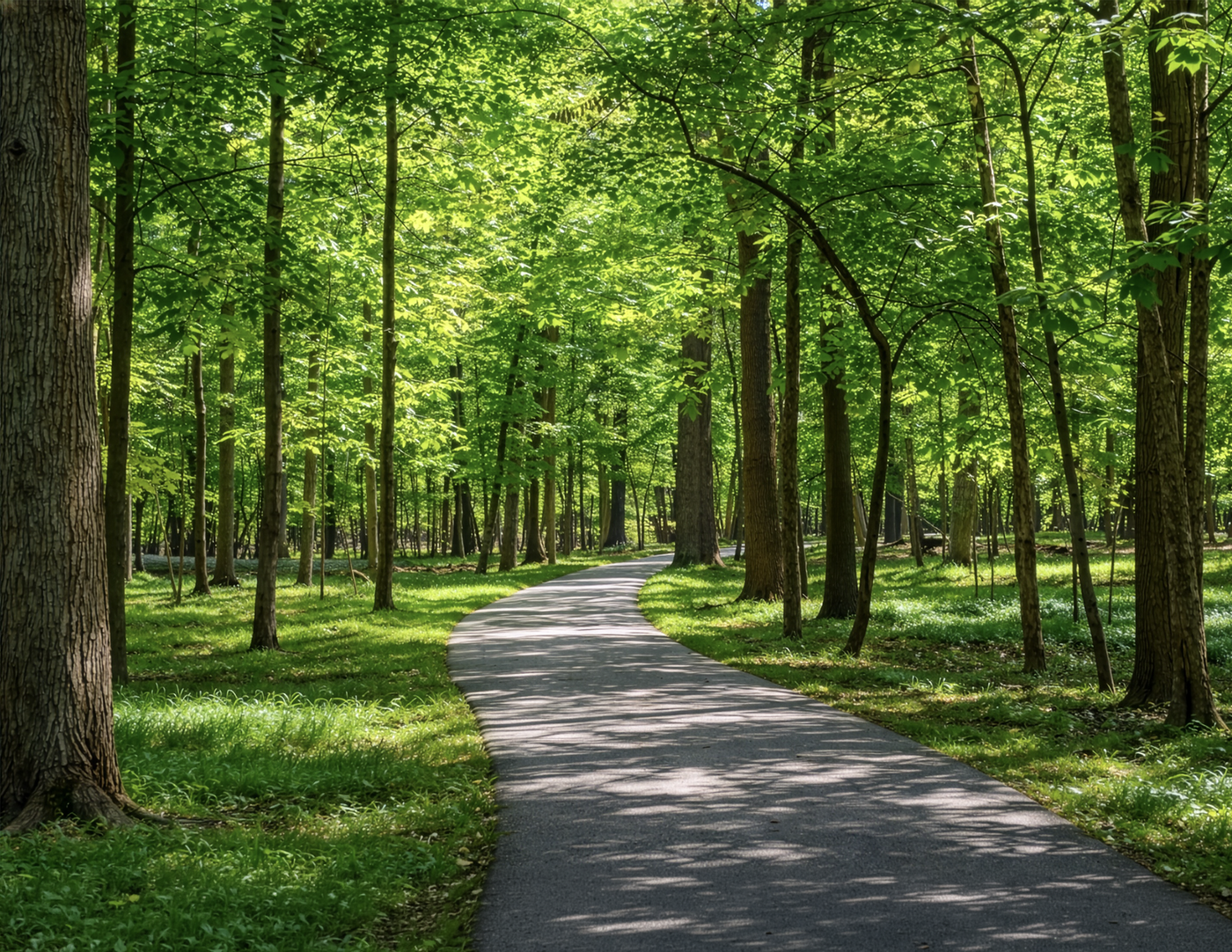 Forest Bathing at the Jesuit Retreat Center