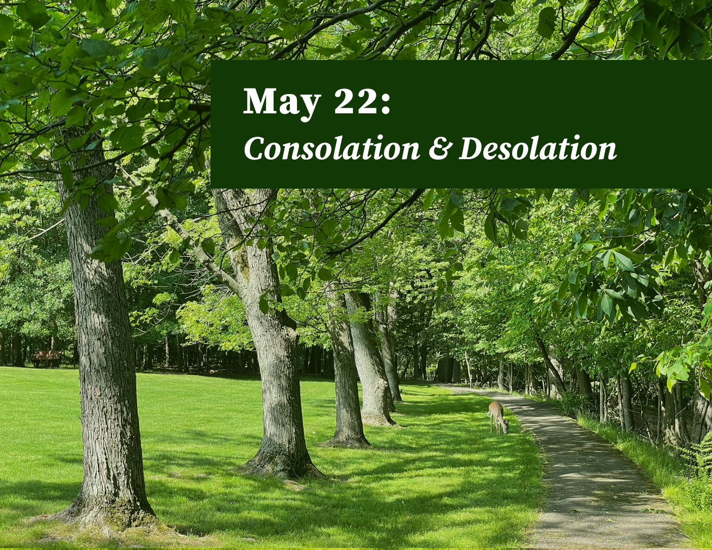 Ignatian Day Retreat: Consolation & Desolation