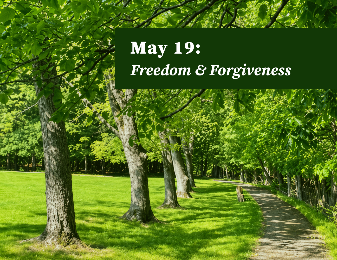 Ignatian Day Retreat: Freedom & Forgiveness