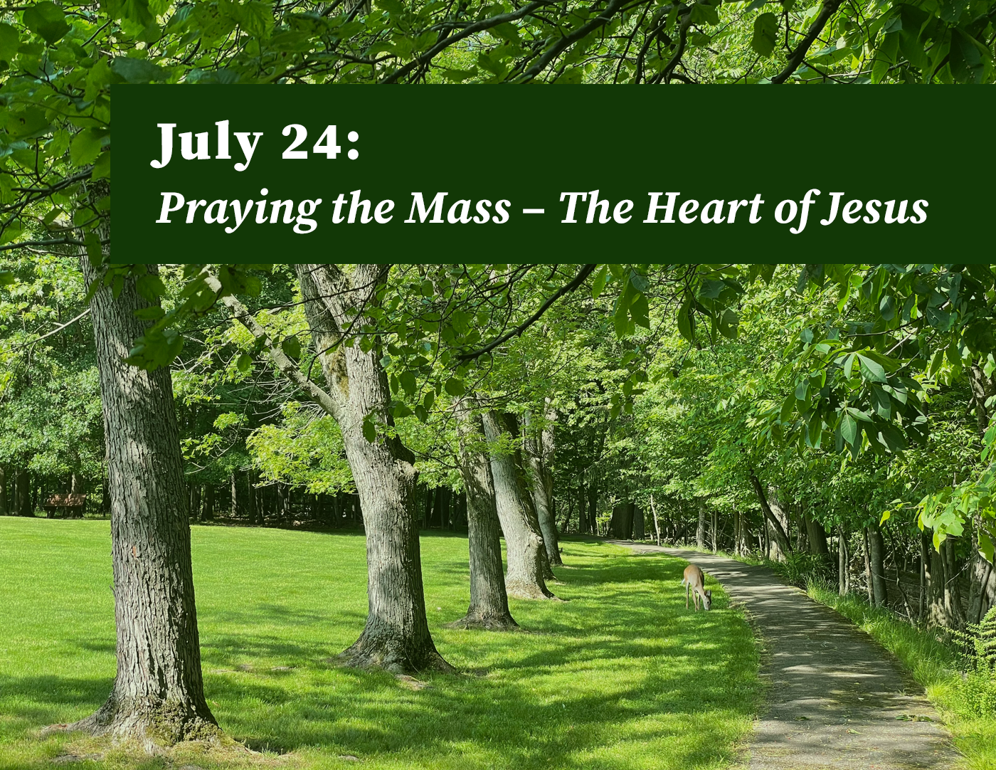 Ignatian Day Retreat: Praying the Mass - The Heart of Jesus