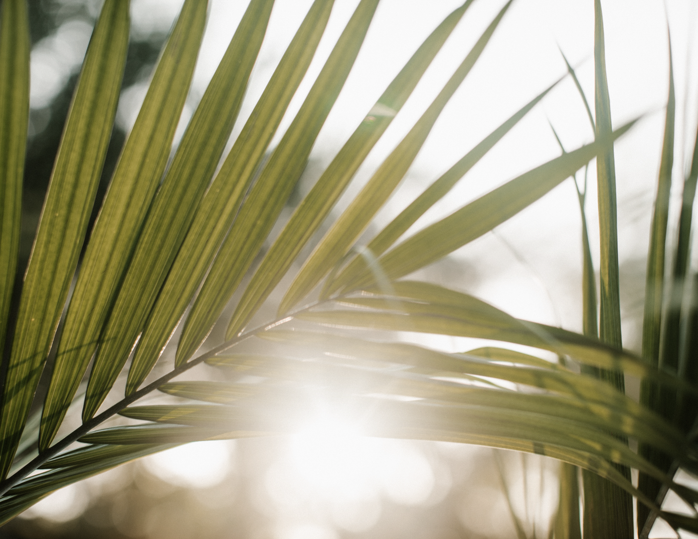 Lenten Retreat