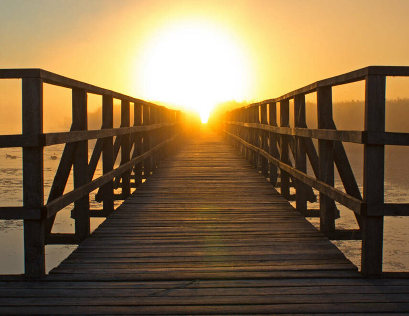 Sr. Ignatia AA Women's Retreat