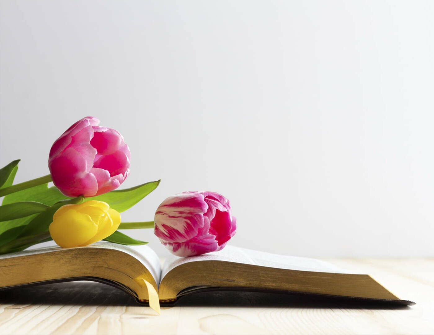 Sr. Ignatia AA Women's Recovery Retreat