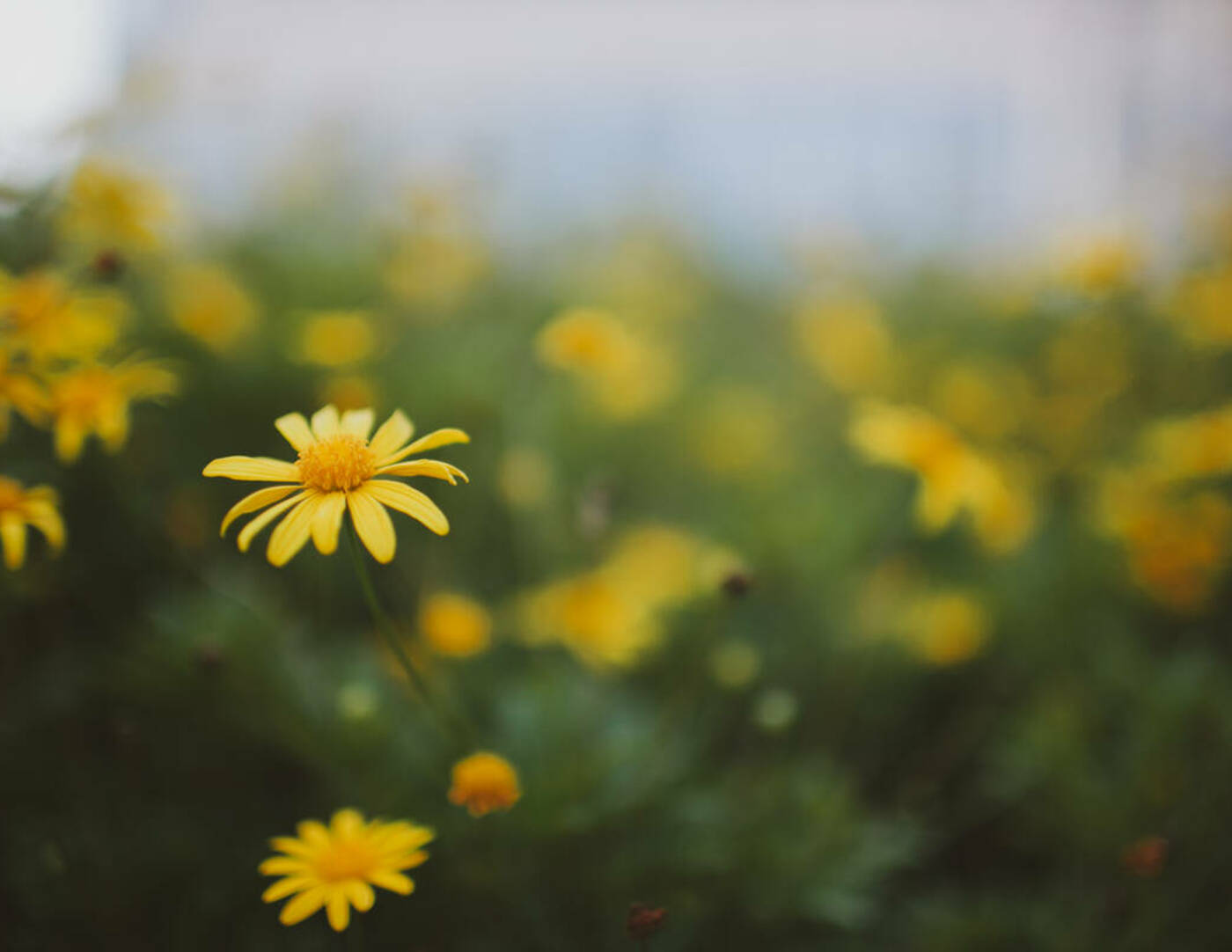 Sr. Ignatia AA Women's Retreat