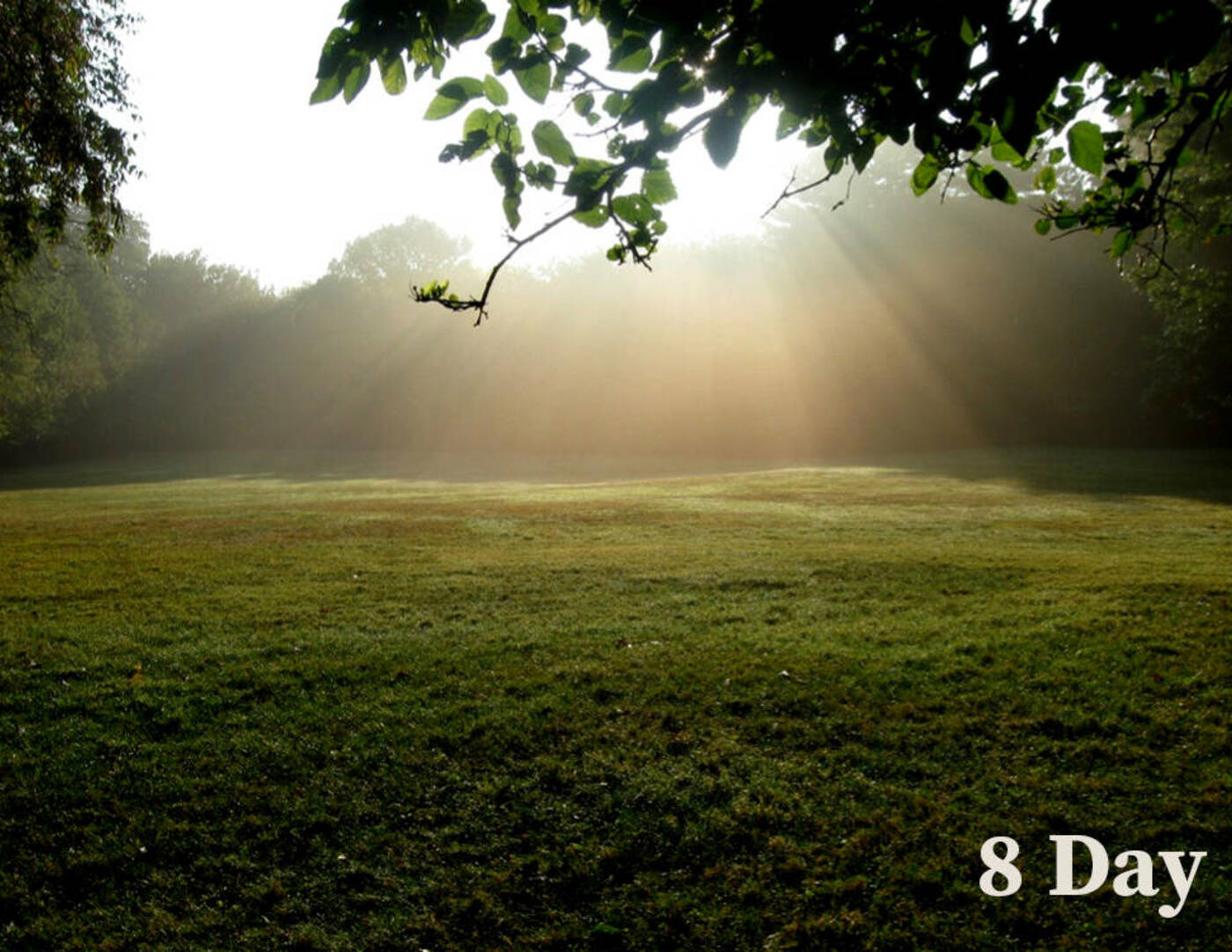 8-Day Summer Individually Directed Retreat (IDR)